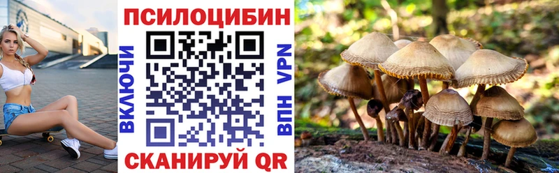 Купить  Малмыж  Псилоцибиновые грибы Cubensis 